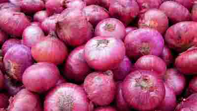 Onion images